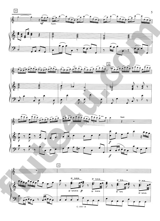 Vivaldi, A :: Concerto en La Mineur F VI No. 9 [Concerto in A minor F VI No. 9]
