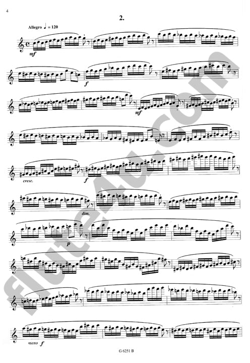 Damase, J-M :: 25 Etudes Techniques [25 Technical Studies]