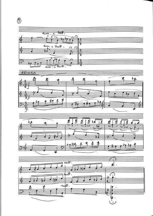 Schiavo, G :: Le Cygne Imaginaire (Suite da un tema di Camille Saint-Saens)