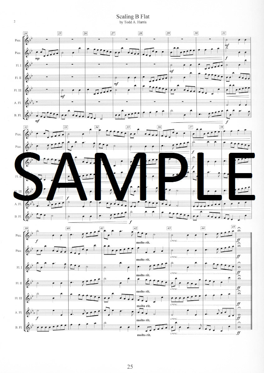 The Flute Boot Camp Manual: A Universal Flute and Piccolo Guide