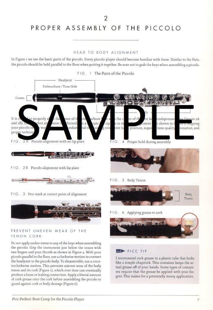 Picc Perfect: Boot Camp for the Piccolo Player