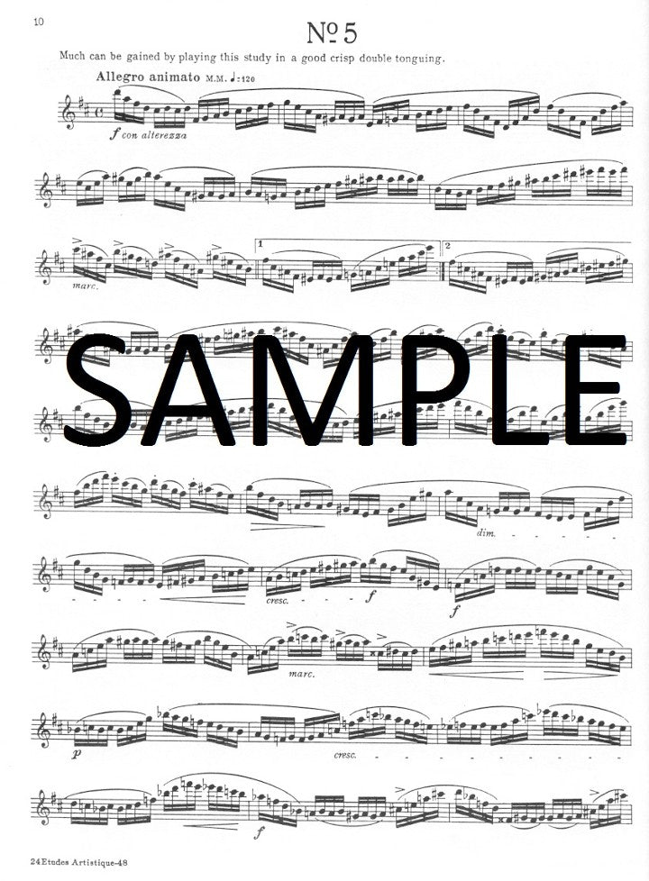 Andersen, J :: Twenty-Four Artistic Studies, Op. 15