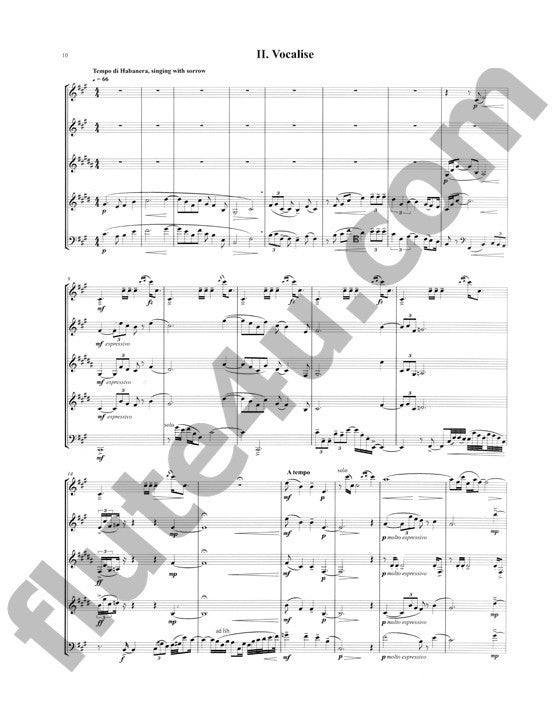 Coleman, V :: Afro-Cuban Concerto