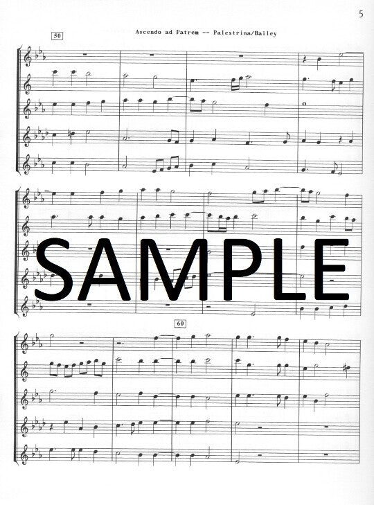 Palestrina, GP :: Ascendo ad Patrem