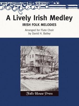 Traditional :: A Lively Irish Medley