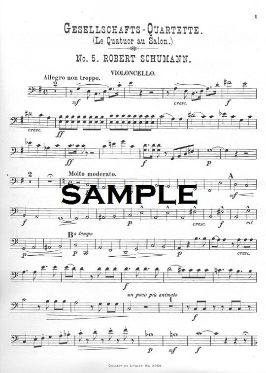 Schumann, R :: Salon Quartet