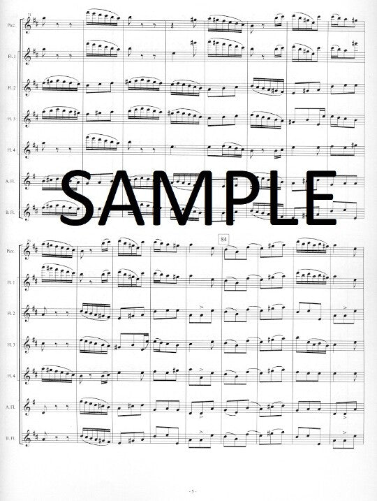 Haydn, J :: Allegro Molto from Symphony No. 8 'Le Soir'