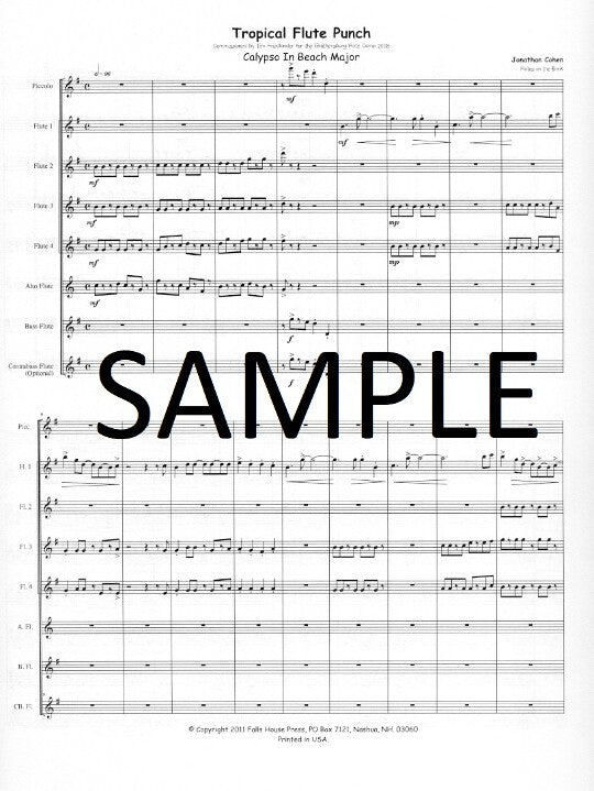 Cohen, J :: Tropical Flute Punch