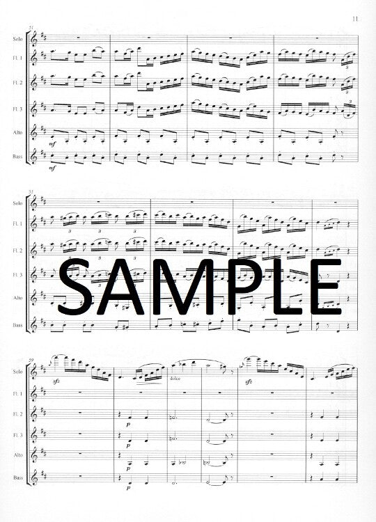 Boehm, T :: Grand Polonaise in D major, opus 16