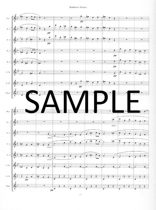 Beethoven, L :: Scherzo from Symphony No. 6