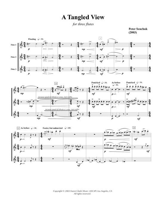 Senchuk, P :: A Tangled View