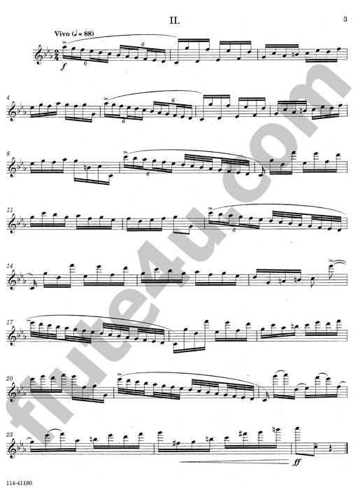 Hailstork, A :: Flute Set