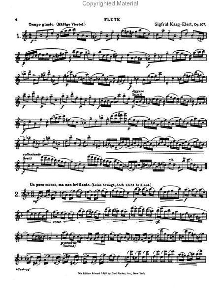 Various :: The Modern Flutist