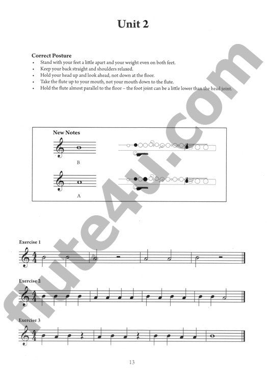 North, K :: The Young at Heart Flute Player Book 6