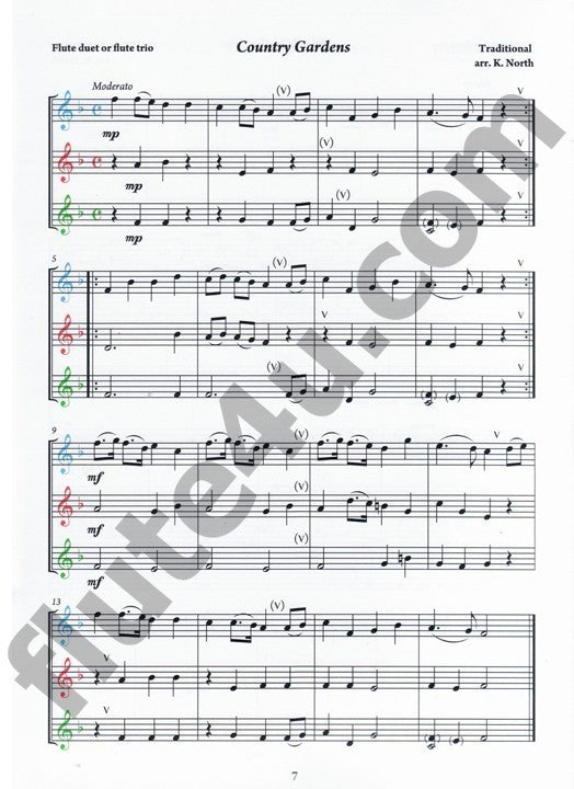 North, K :: The Young Flute Player Book 5