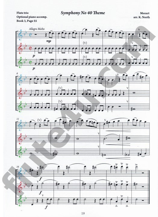 North, K :: The Young Flute Player Book 5