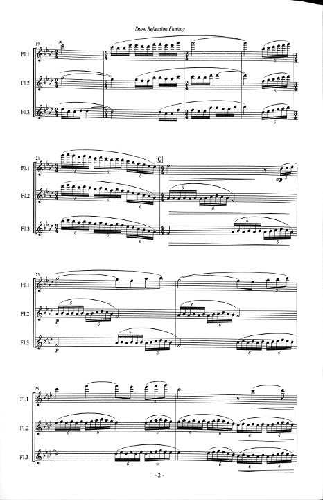 Fukushima, H :: Snow Reflection Fantasy