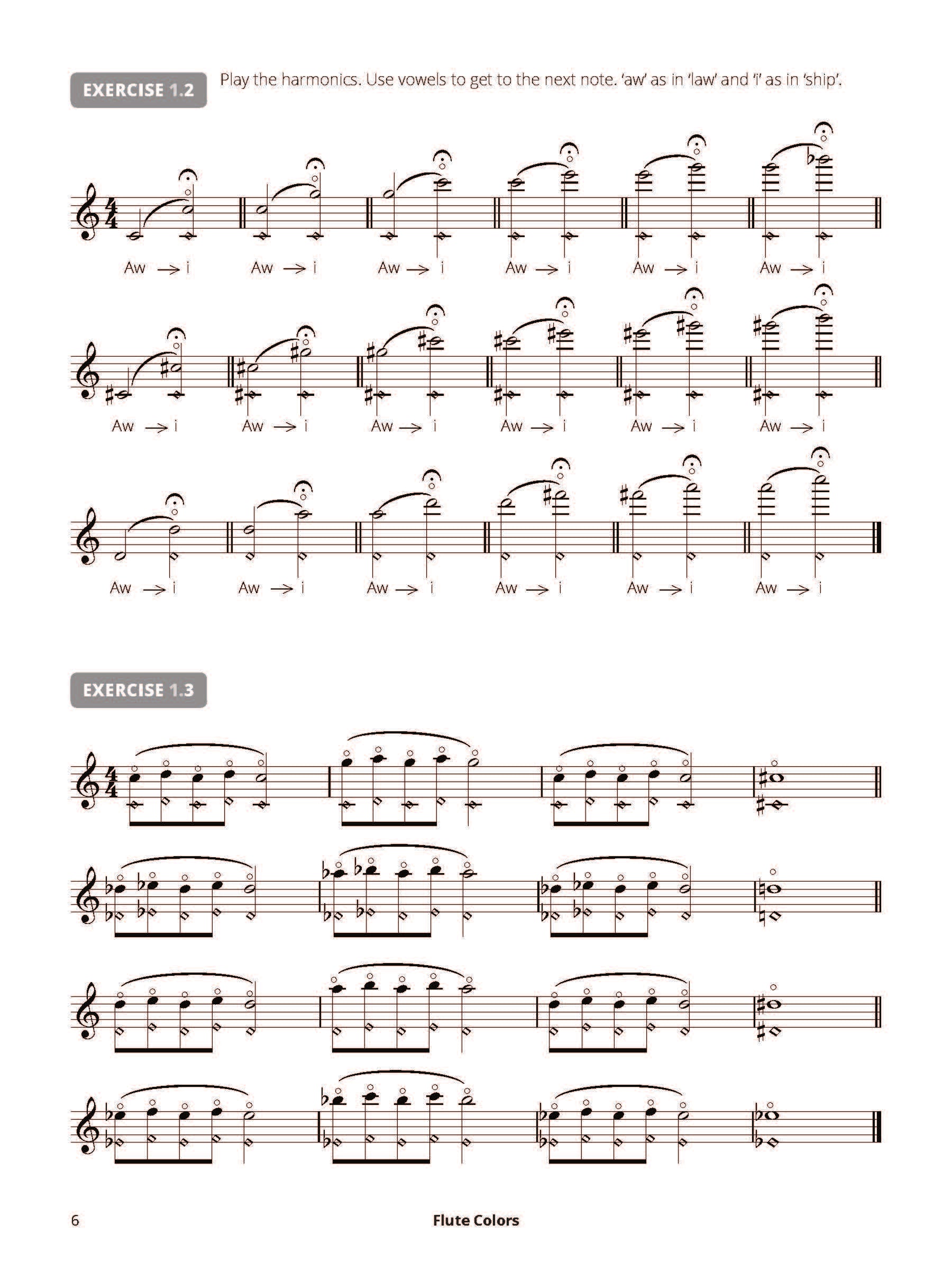 de Pijper, R :: Flute Colors: Extended Techniques for Flute