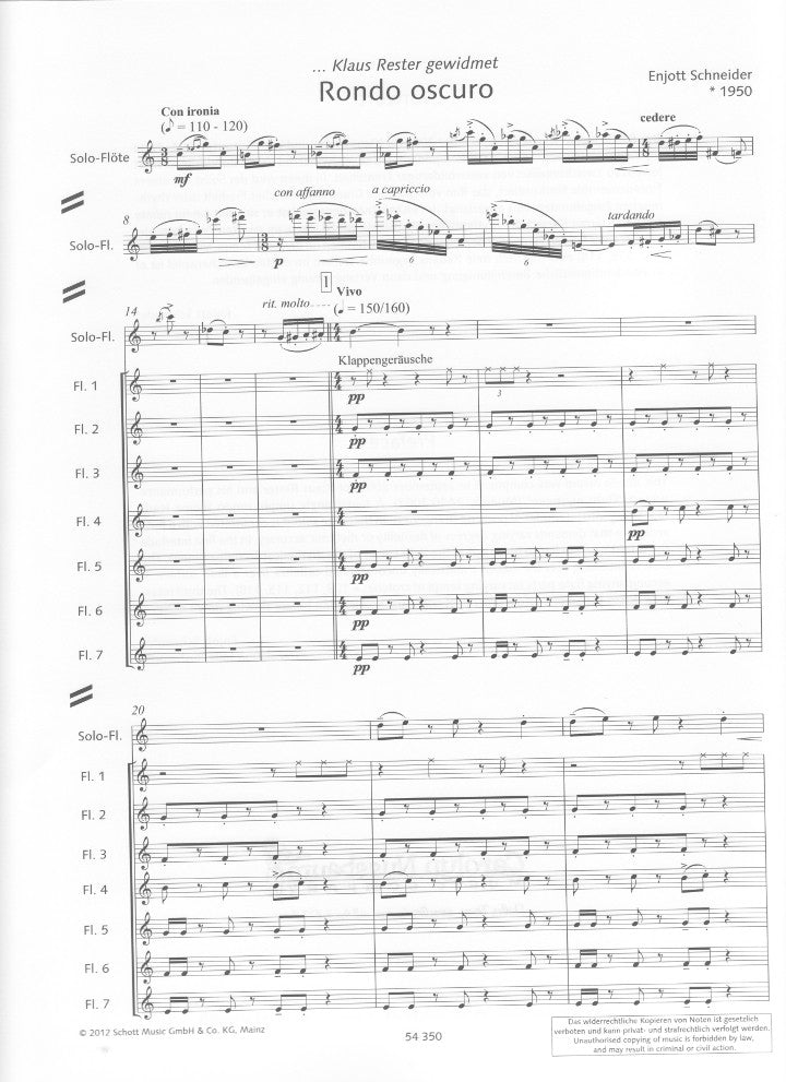 Schneider, E :: Rondo oscuro