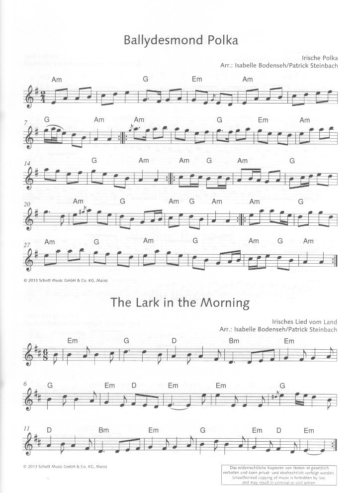Traditional :: The Irish Flute Book