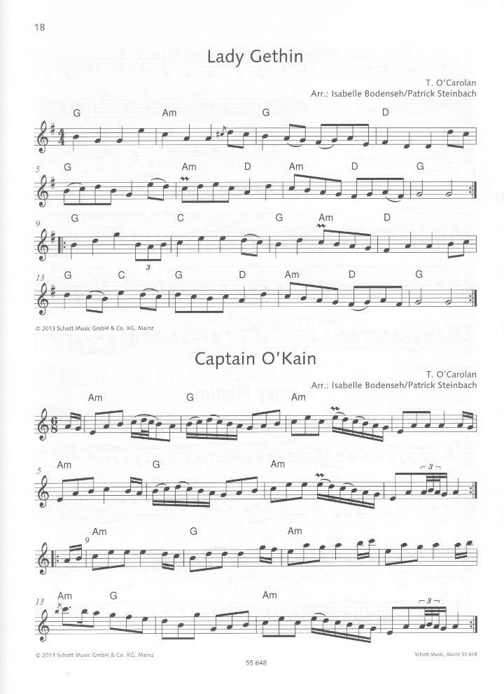 Traditional :: The Irish Flute Book