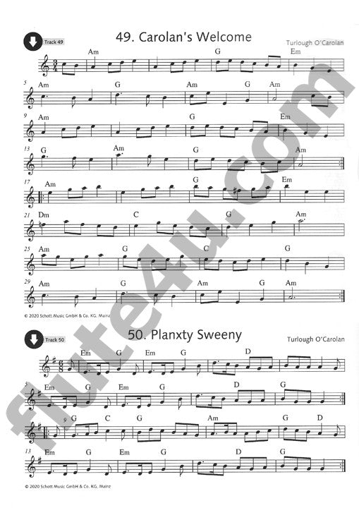 Various :: Irish Folk Tunes for Flute, Vol. 2
