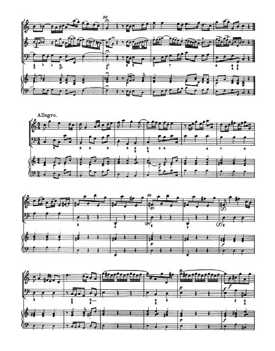 Telemann, GP :: Methodische Sonaten [Methodical Sonatas] Vol. VI