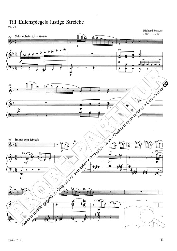 Various :: Orchesterstudien [Orchestral Studies]
