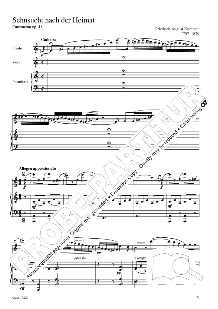 Various :: Canti con flauto I: Sieben Lieder des 19. Jahrhunderts [Songs with Flute I: Seven Songs of the 19th Century]