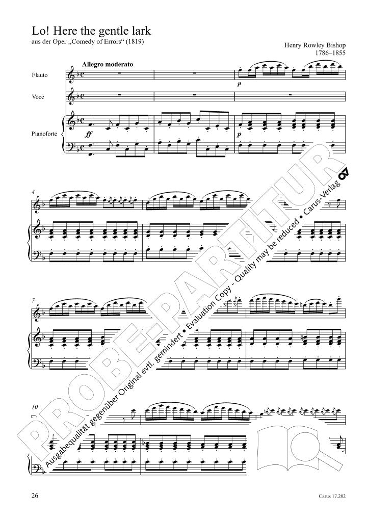 Various :: Canti con flauto II: Sechs Lieder des 19. Jahrhunderts [Songs with Flute II: Six Songs of the 19th Century]