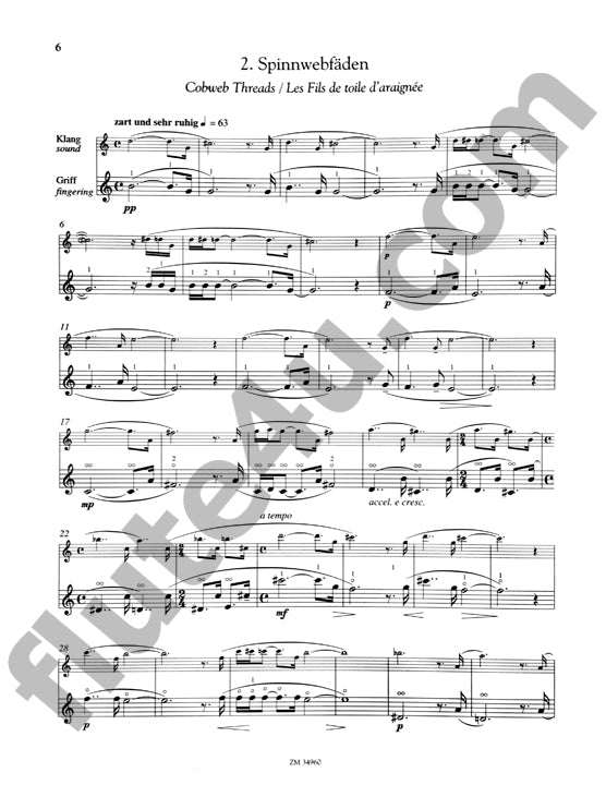 Gottsche-Niessner, F :: Nachtfaltergedanken [Fluttering Night Thoughts]