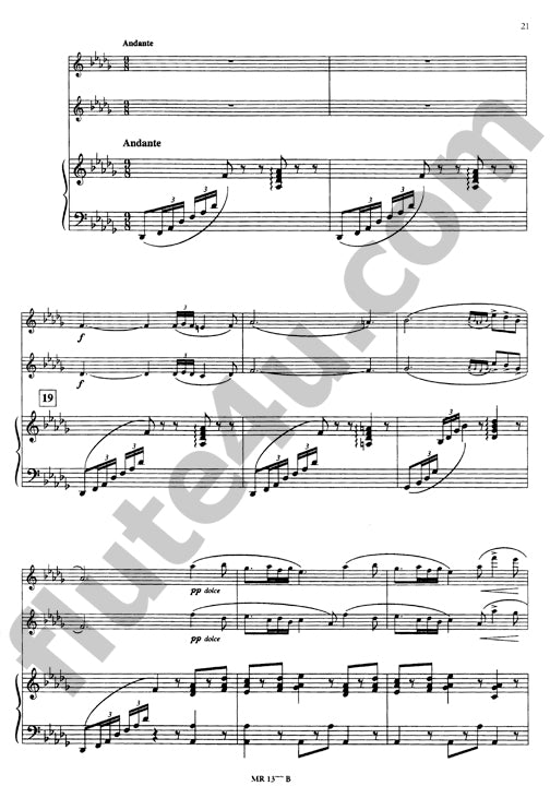 Doppler, F :: Concerto en Re Mineur [Concerto in D minor]