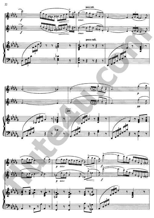 Doppler, F :: Concerto en Re Mineur [Concerto in D minor]