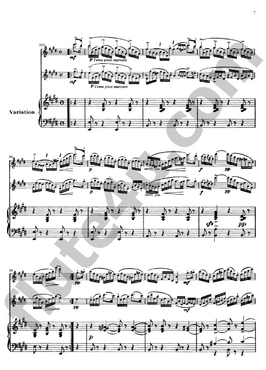 Doppler, F; Doppler, K :: Rigoletto-Fantaisie op.38 [Rigoletto Fantasy op. 38]