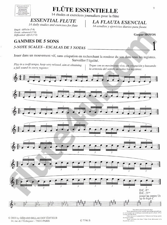 Hoyos, G :: Flute essentielle [Essential flute]
