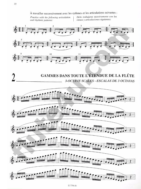Hoyos, G :: Flute essentielle [Essential flute]