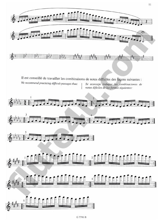 Hoyos, G :: Flute essentielle [Essential flute]