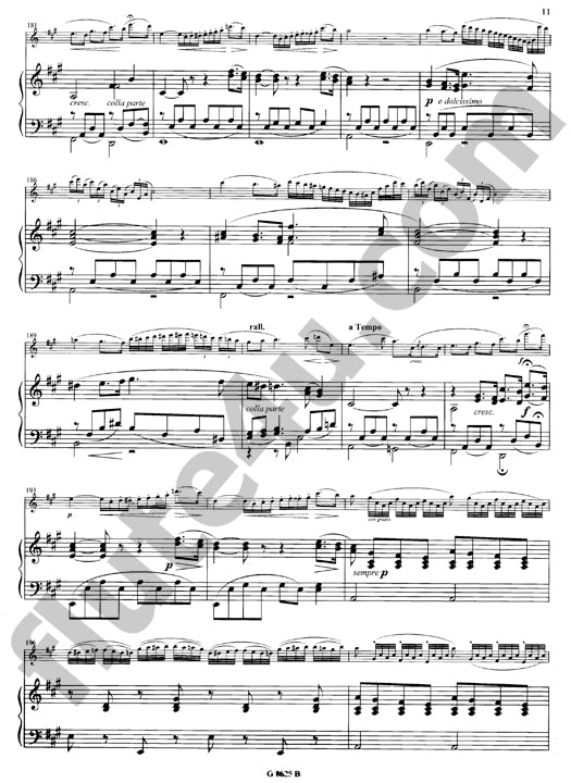 Hugues, L :: Fantaisie sur Mefistofeles opus 104