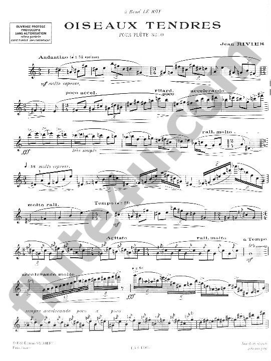 Rivier, J :: Oiseaux tendres [Tender Birds]