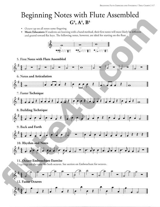 Stone, J :: Notes on the Flute
