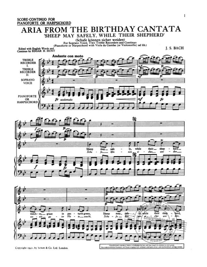 Bach, JS :: Sheep May Safely Graze, BWV 208
