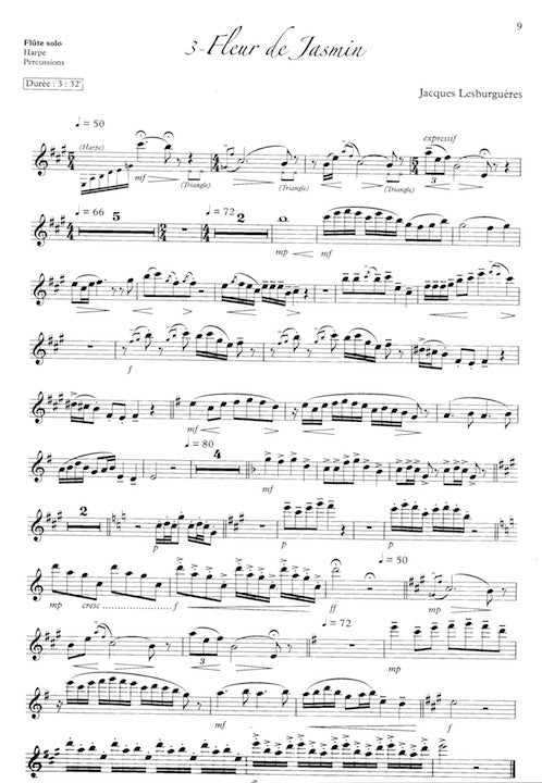 Lesburgueres, J :: Une flute itinerante