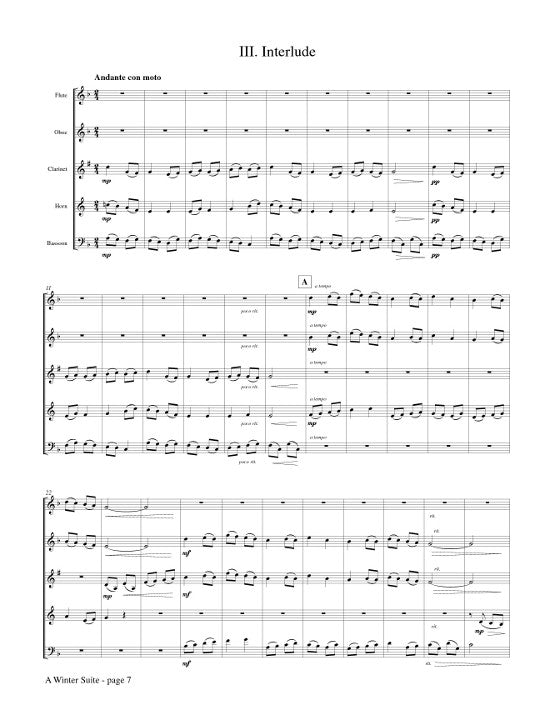 Schudel, T :: A Winter Suite
