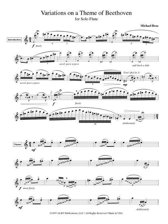 Braz, M :: Variations on a Theme by Beethoven