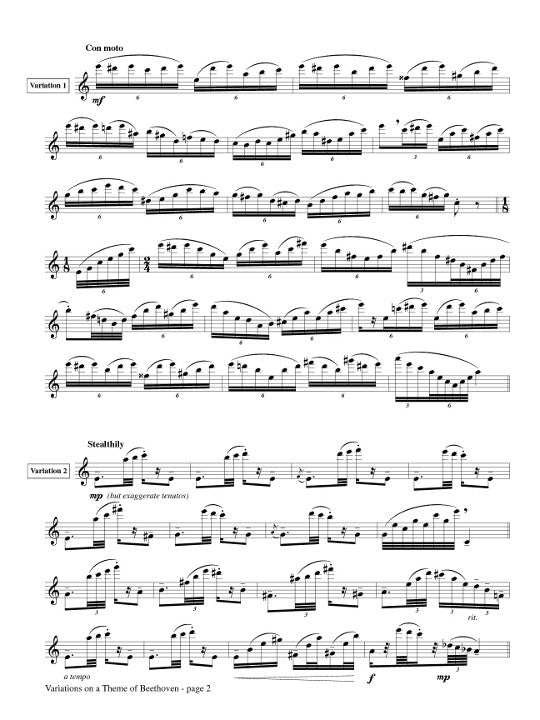 Braz, M :: Variations on a Theme by Beethoven