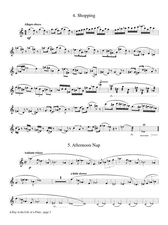 Burgstahler, E :: A Day in the Life of a Flute