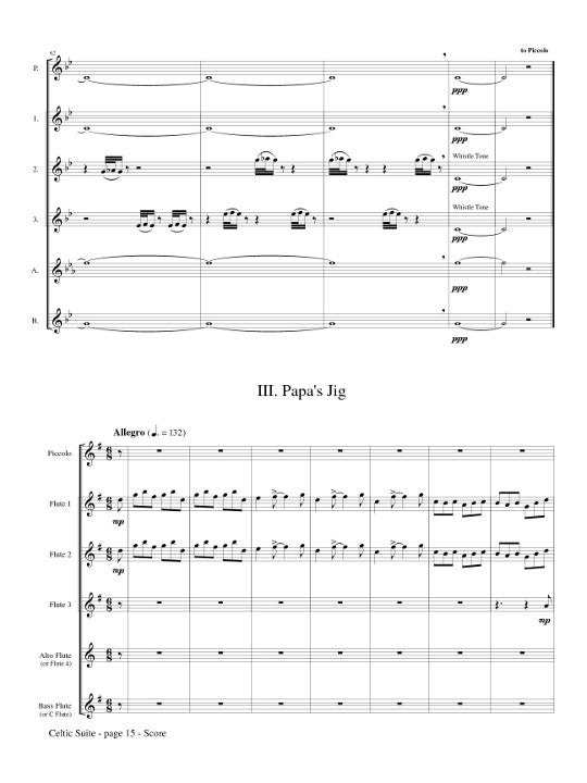 Coolen, M :: Celtic Suite