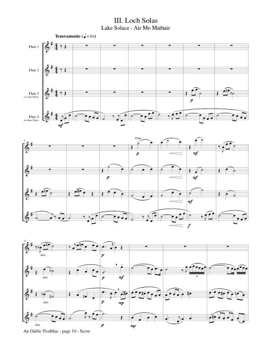 McMichael, C :: A Gaelic Tiodhlac [A Gaelic Offering]