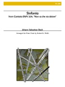 Bach, JS :: Sinfonia from 'Non sa che sia dolore'
