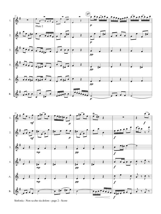 Bach, JS :: Sinfonia from 'Non sa che sia dolore'